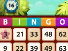 Bingo King