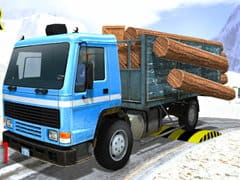 Truck Driver Cargo