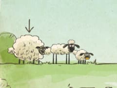 Home Sheep Home