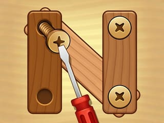Screw Pin Puzzle!