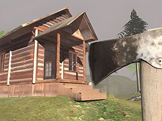 Surviving In The Woods