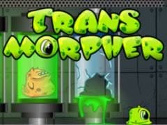 Transmorpher