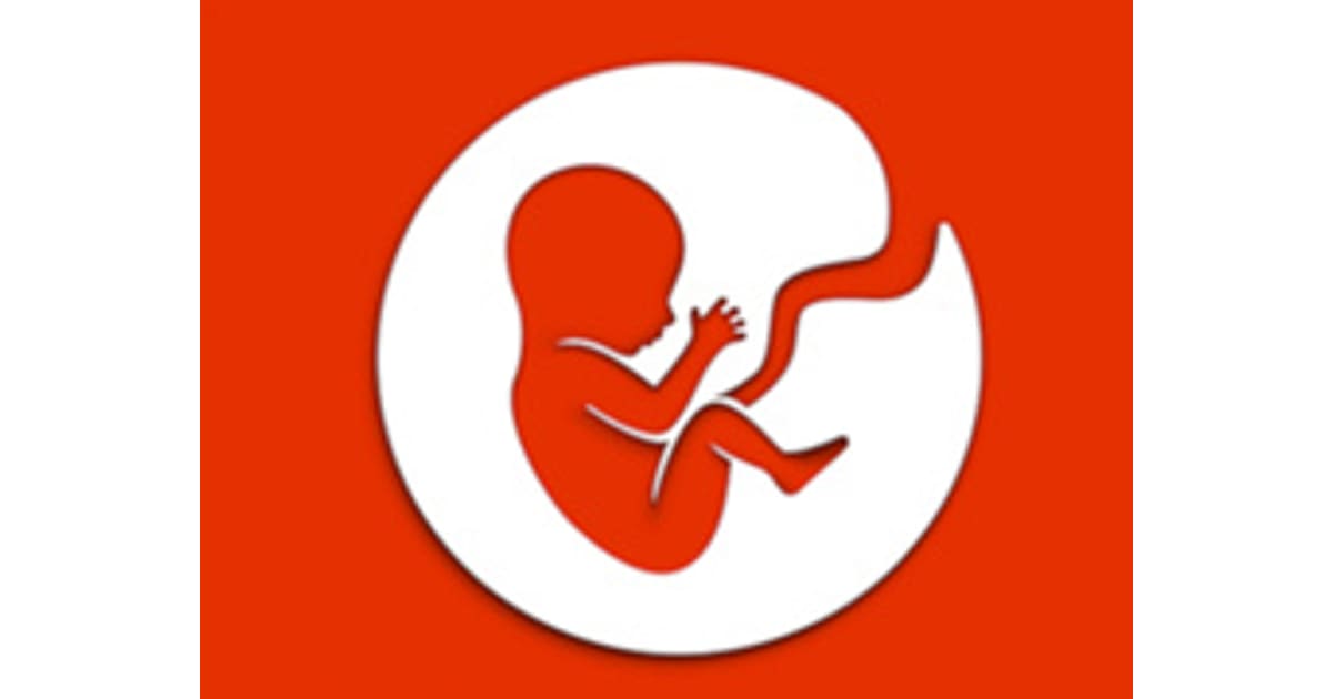 Bitlife Life Simulator - Play The Game Online on CarGames.Com