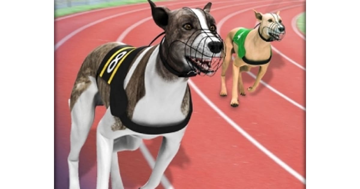 Greyhound Racing - Play Greyhound Racing Online on CarGames.Com